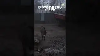 1 ноября 2024 г.