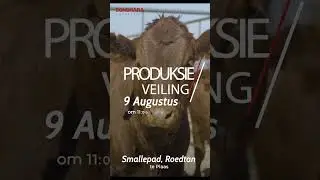 Skryf in jou dagboek: Bonsmara Genetics hou produksieveiling!