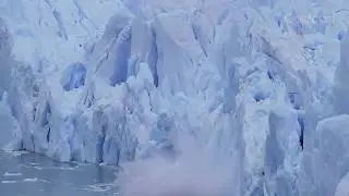 Leonardo DiCaprio's Moving Speech on Climate Change