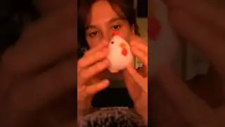 what would you name it? 🐤🐖
