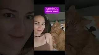 Кот плохого не посоветует😸#reels #кот #юмор
