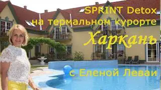 Sprint Detox на термальном курорте в Венгрии с Еленой Леваи