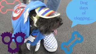 The Dog Days Of Vlogging