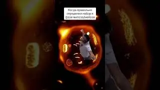 Митоз и мейоз | SMITUP | 