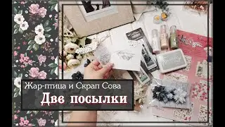 Две посылки\ Жар-птица и Скрап Сова\скрапбукинг