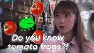 NEWJEANS Haerin love tomato frogs!!