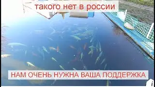 Нам очень нужна Ваша поддержка. Такого нет в России.