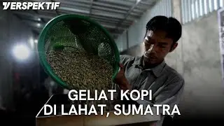 MENGENAL KOPI LAHAT, TULANG PUNGGUNG KOPI SUMATERA SELATAN | #VERSPEKTIF