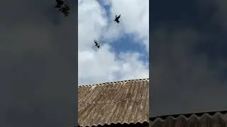 Молодëж на посадке!