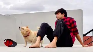 Play, Dance