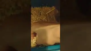 VID 20220319 210447