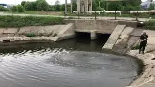 Кастинговая сеть