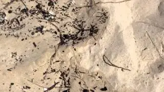 19 Sept 2014 Kailua beach Hawaii