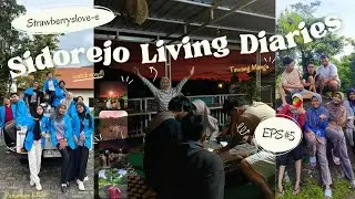 Berry's VLOG #49: Sidorejo Living Diaries Final Episode 05 KKN Version🍓💐🎀