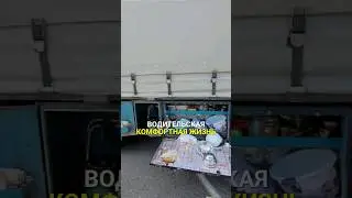 Зарплаты хватает только на хлеб. #shotrs #дальнобой #дальнобойщики