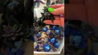 Spiders Oh My! Which one do you like? 