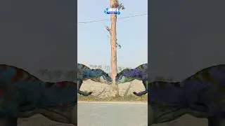 pyare baba mandi dikhade vfx islamic special bakra eid mubarak ho 
