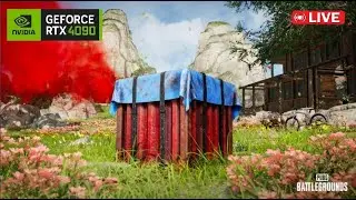 PUBG DUO