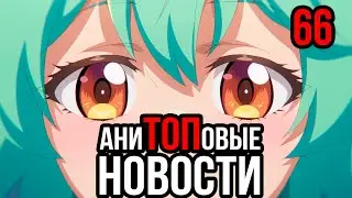 АниТОПовые Новости 66 | Затишье после выставки |