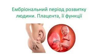 Фізіологія вагітності
