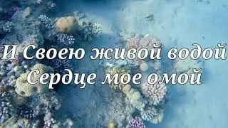 Сердце чистое сотвори во мне