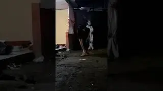 #prankpocong #pocong #prankpocongindonesia  #prank #prankhantu #prankmrreza #mrreza