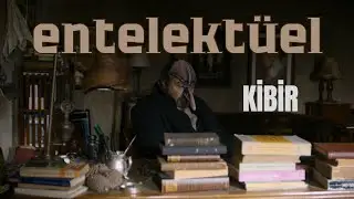 birikim mi? entelektüel kibir mi?: kış uykusu