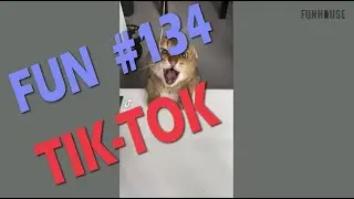 Fun Tik-Tok #134 Trend | Funhouse off , fails | Тик-Ток тренд, неудачи, приколы, смешное видео