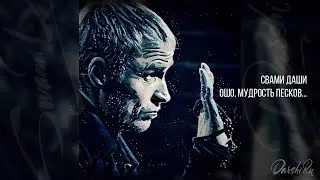 Свами Даши. Ошо. Мудрость песков...