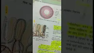 पाचन और अवशोषण का highlighted #viral subscribe my channel 🙏