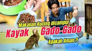 MAKANAN KUCING DICAMPUR BEBERAPA MEREK KAYA GADO GADO 🤣 AMAN ATAU ENGAK YA UNTUK KUCING ?????