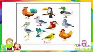 Adaptations of Animals Based on Habitat  - Module 2.2 (Chapter 2 - Olympiad Class 4 Science)