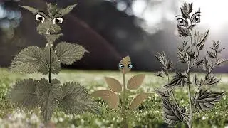 10 ДЕТСКАЯ Вишенка Сказка