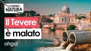 Nel TEVERE pesci morti e acqua contaminata: chi ha INQUINATO il fiume sacro degli antichi Romani