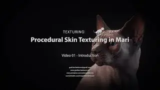 01 - How to texture skin in Mari - Intro