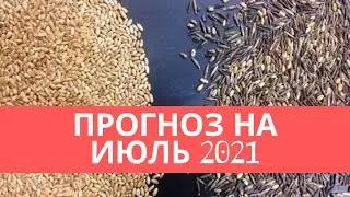 Прогноз на Июль 2021. Ченнелинг от Высших Сил.