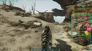Подтверждаю!