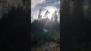 В гармонии со Стихиями. Помощь Воздуха. Проясни свои мысли.