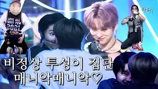 [ StrayKids / 스트레이키즈 ] MANIAC 무대 위 장꾸 키즈
