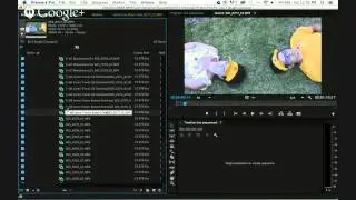 Eric | Premiere Pro | Logging Footage for Ep 5