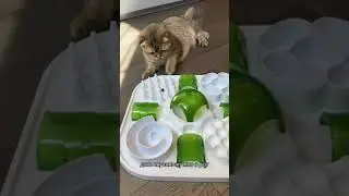 Все не так