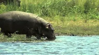 WIldlife adventure in South Africa