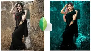 Photo Editing || blue mood photo editing in snapseed || 2021 || awesome photo editing ||