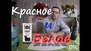 Вина из супермаркета.