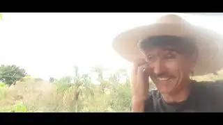 Como cuidar do meu solo, alçando produção e qualidade. Adubação verde, plantas companheiras .