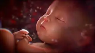 ♥ Бял шум за спящо бебе ♥ Вътрематочен звук със сърдечен ритъм 👶 Спокойно бебе ♥