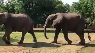 South luangwa national park the place to be