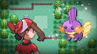 Live Shiny Mudkip after 12,052 Soft Resets on Pokemon Sapphire!