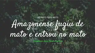 Amazonense fugiu de mato e entrou no mato