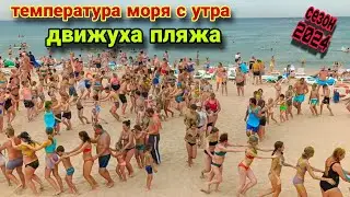 Анапа Сегодня Погода середина июля ,Вода теплее / Витязево 2024